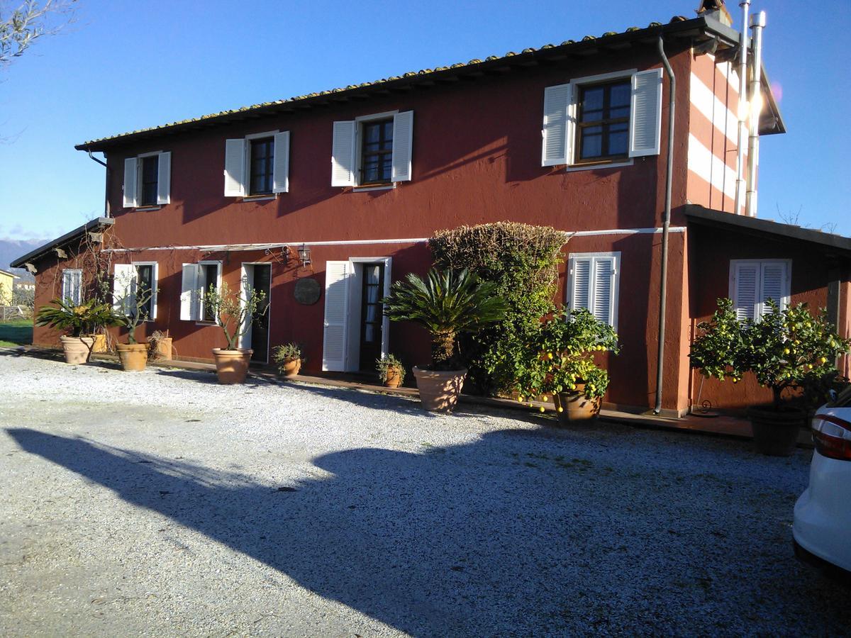 Bed and Breakfast La Locanda Di Filo à Lido di Camaiore Extérieur photo